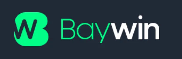 Baywin Logo